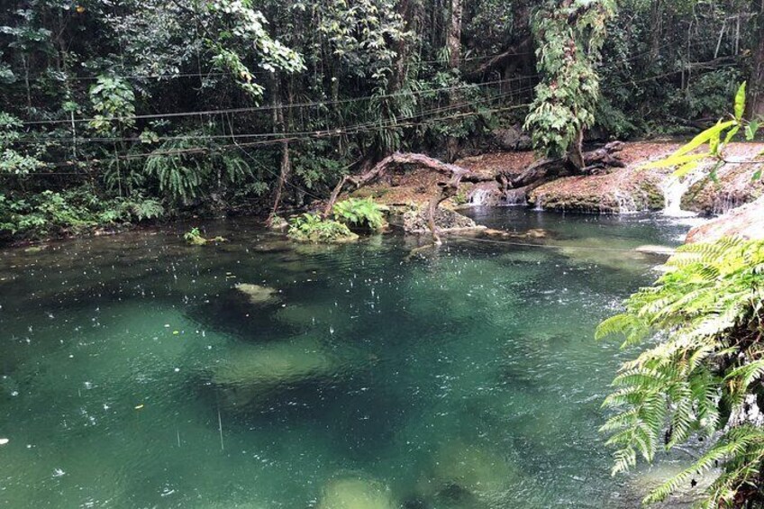 Bridges of Eden