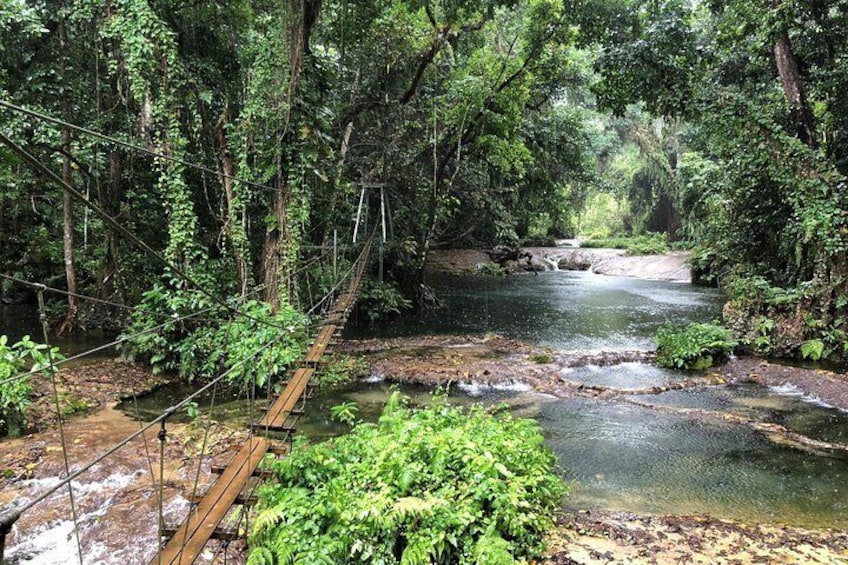 Bridges of Eden