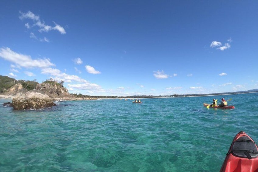 Kayaking with Dolphins in Byron Bay Guided Tour