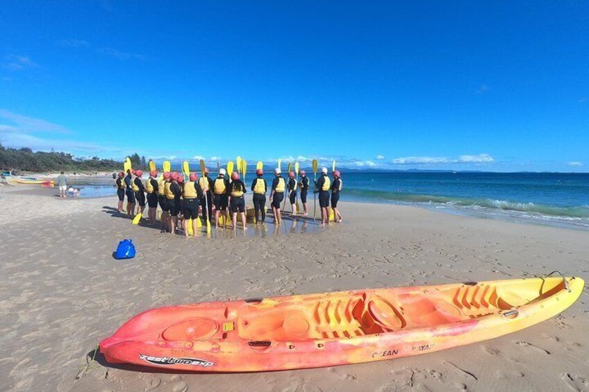 Kayaking with Dolphins in Byron Bay Guided Tour