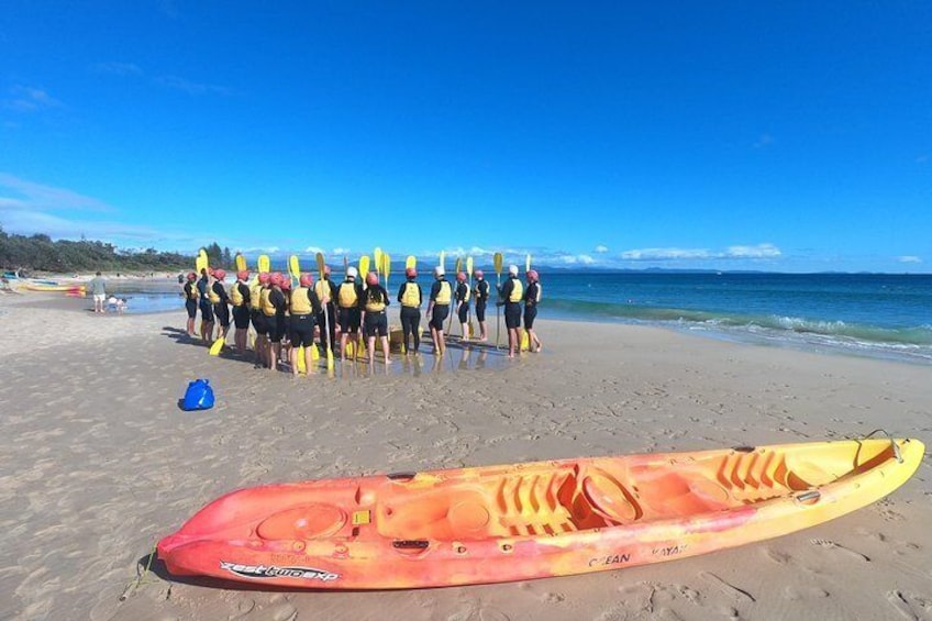 Kayaking with Dolphins in Byron Bay Guided Tour