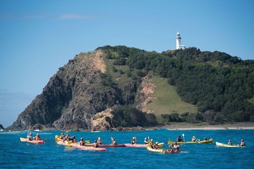 Kayaking with Dolphins in Byron Bay Guided Tour