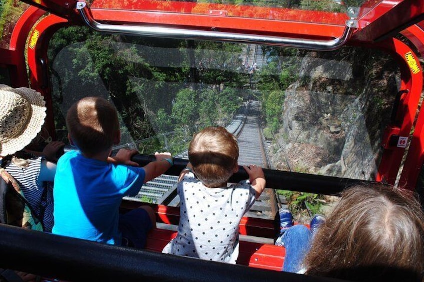 Blue Mountains Hop-on Hop-off Tour with Optional Scenic World Rides