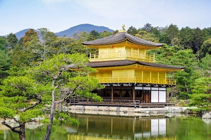 京都と奈良１日観光バスツアー