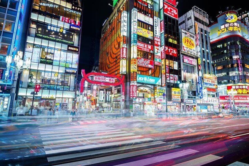 Shinjuku Neon Lights