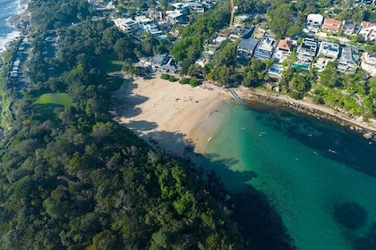 Manly Snorkel旅行和自然步行與當地指南
