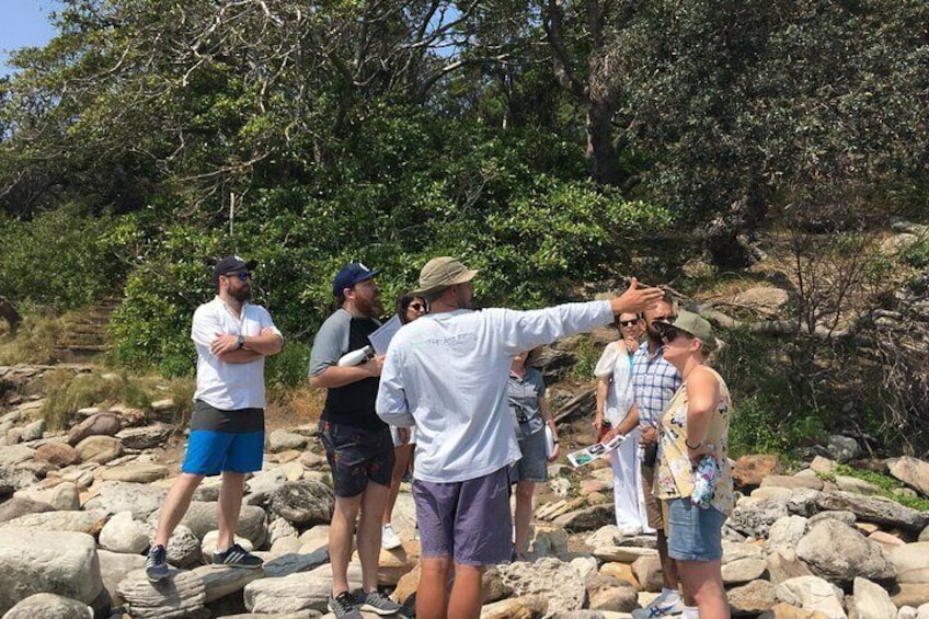 Manly Snorkel Trip and Nature Walk with Local Guide