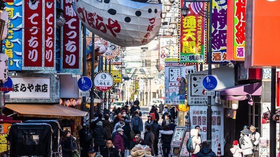 Osaka Half-Day Private Tour with Nationally-Licensed Guide
