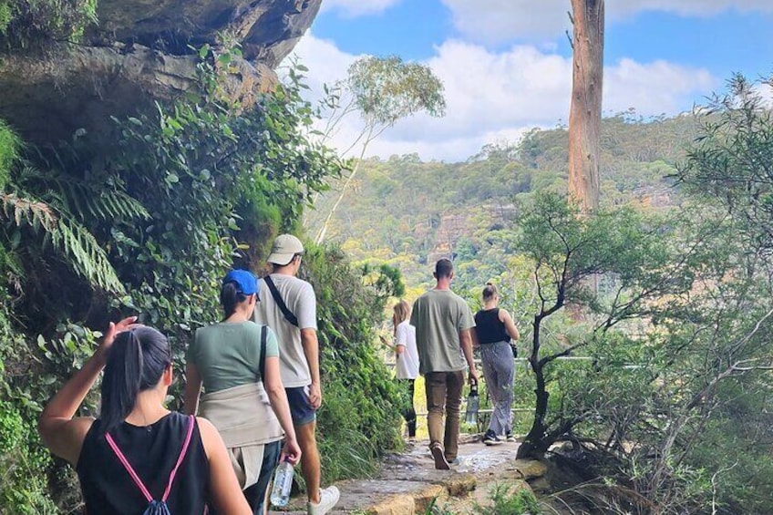 Blue Mountains Unique Small-Group Day Adventure with Picnic Lunch