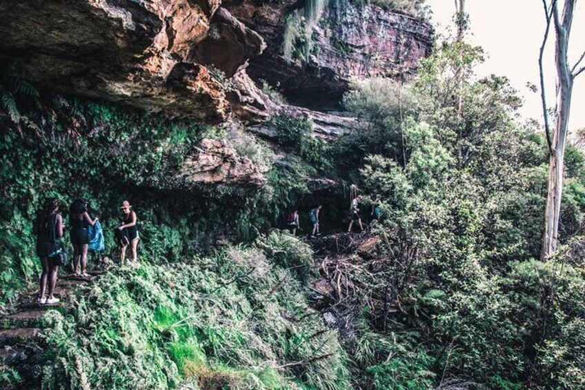 Bush walk to the waterfall