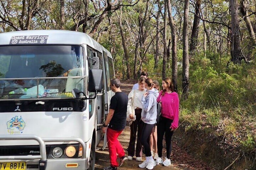 Blue Mountains Unique Small-Group Day Adventure with Picnic Lunch