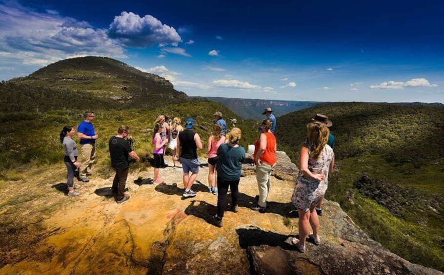 Remote lookout