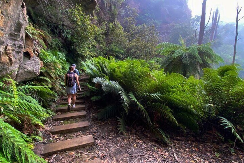 From Sydney: Blue Mountains Day Trip with Bush walk & Waterfalls