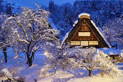 Shirakawago All Must-Sees Private Chauffeur Tour with a Driver (Takayama DE...