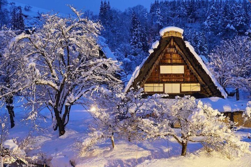 Shirakawago All Must-Sees Private Chauffeur Tour with a Driver (Takayama DEP.)