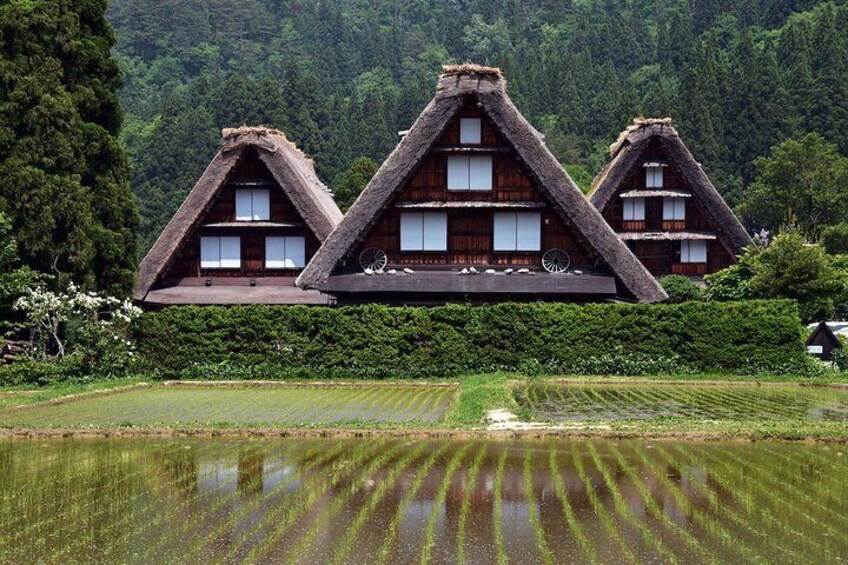 Shirakawago Charter Car Tour (Takayama departure) with English-speaking Driver