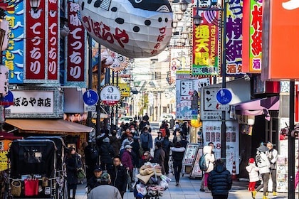 大阪 6 小时私人徒步游（有政府许可的导游）