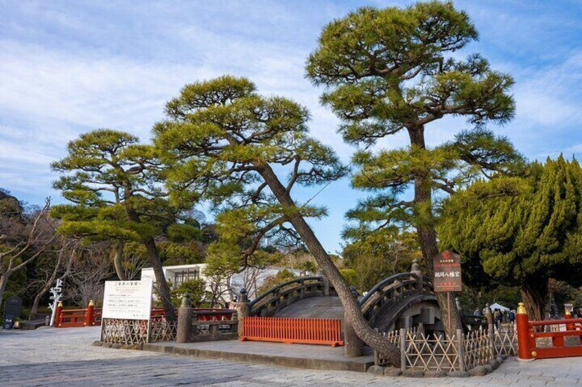 From Tokyo: Kamakura & Enoshima 1-Day Bus Tour