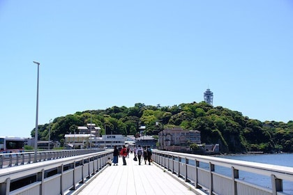 Desde Tokio: tour en autobús de 1 día por Kamakura y Enoshima