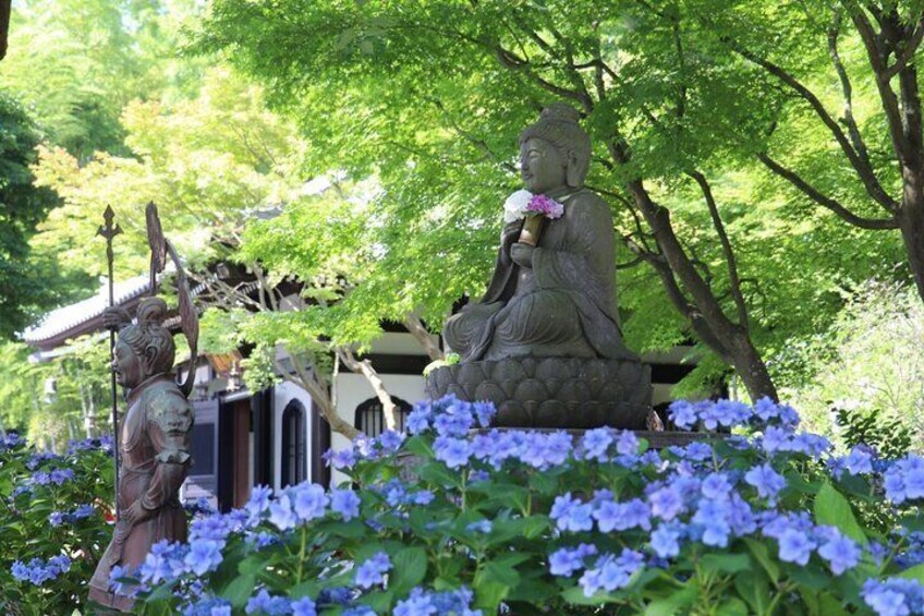 From Tokyo: Kamakura & Enoshima 1Day Bus Tour