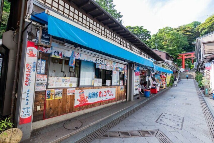 From Tokyo: Kamakura & Enoshima 1Day Bus Tour