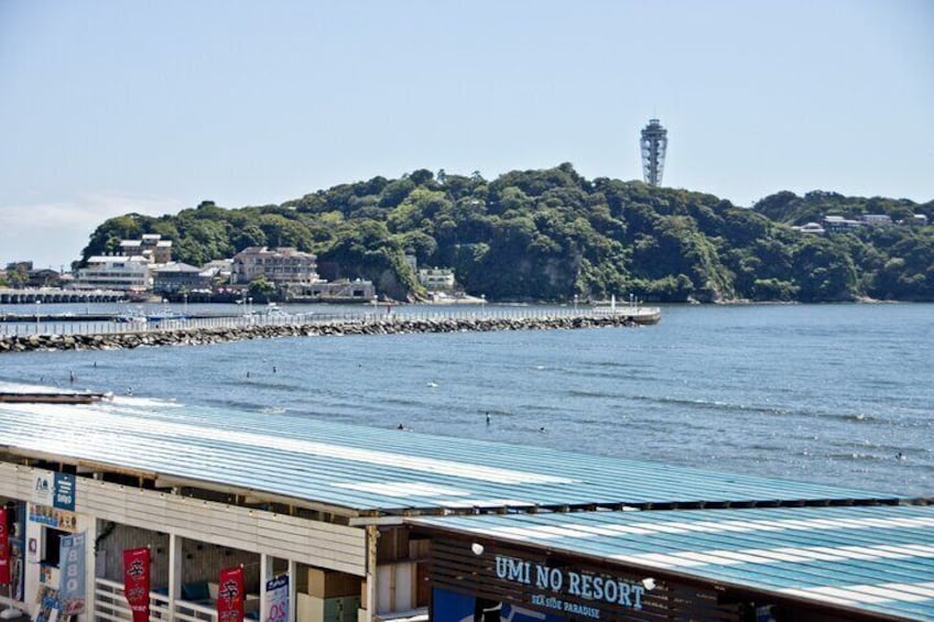 From Tokyo: Kamakura & Enoshima - One Day Trip