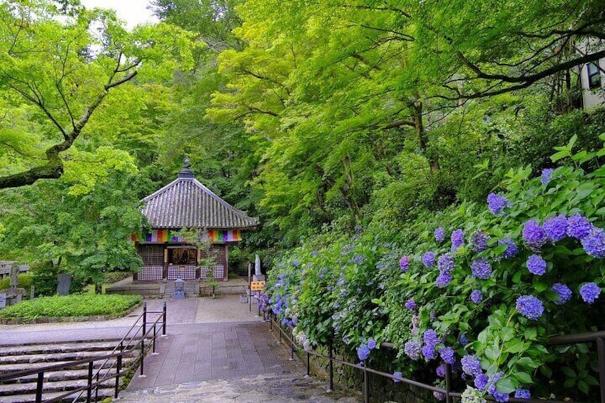 From Tokyo: Kamakura & Enoshima 1-Day Bus Tour