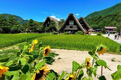 Private Tour Kanazawa, Shirakawago, Hida Furukawa,Takayama