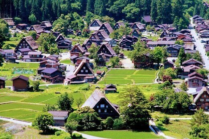 Tour privado Kanazawa, Shirakawago, Hida Furukawa, Takayama