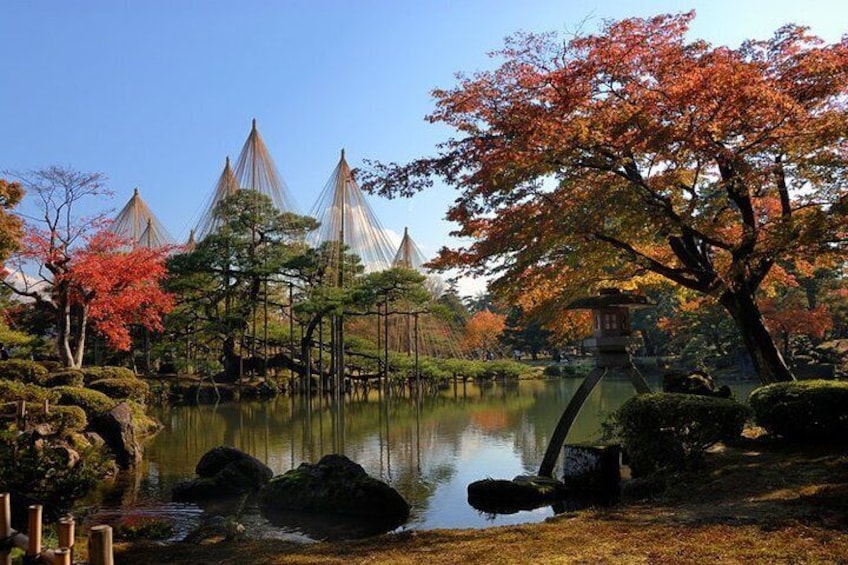 Kenrokuen Autumn