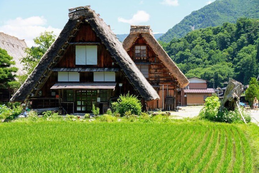 Shirakawago Spring/Summer