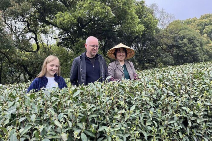 Day Tour To Discover the Secrets of Hangzhou's Tea Culture