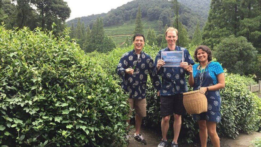 Hangzhou tea tour