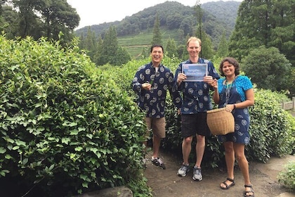 Day Tour to Discover the Secrets of Hangzhou's Tea Culture