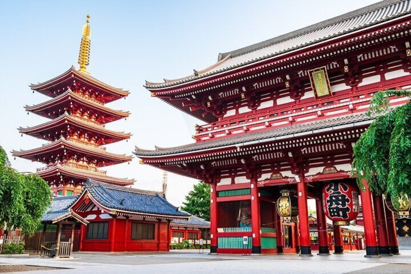 Private Tokyo Tour with Government Licensed Guide & Vehicle (Max 7 persons)