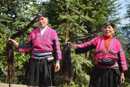 From Guilin/Yangshuo: Longji Rice Terraces and Ethnic Minority Village Day ...