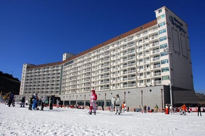 Enjoy Busan Winter at Eden Valley Resort One Day Tour