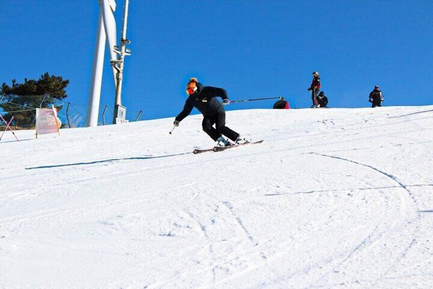 Eden Valley Winter Ski Resort Day Tour from Busan+SPA LAND option