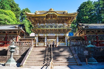 Nikko Full-Day Private Walking Tour with Government-Licensed Guide (Tokyo D...