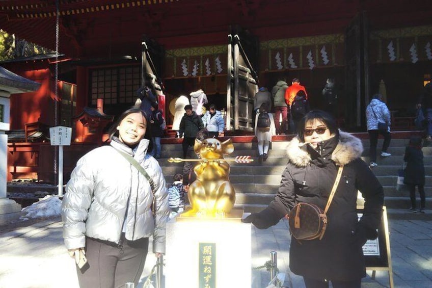 Nikko Full-Day Private Tour (Tokyo departure) with Nationally-Licensed Guide