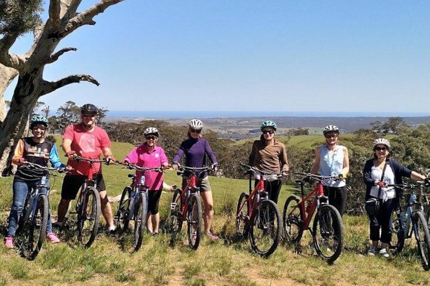 McLaren Vale Wine Tour by Bike