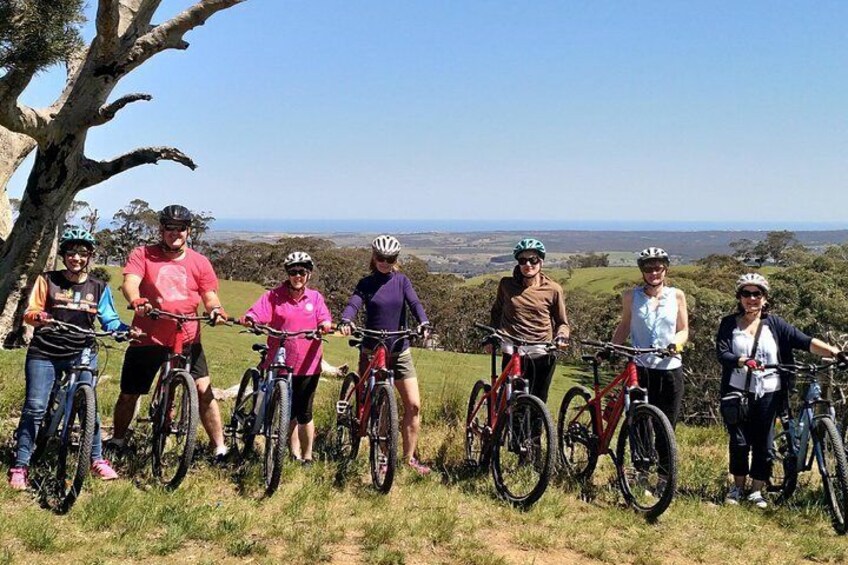 McLaren Vale Wine Tour by Bike