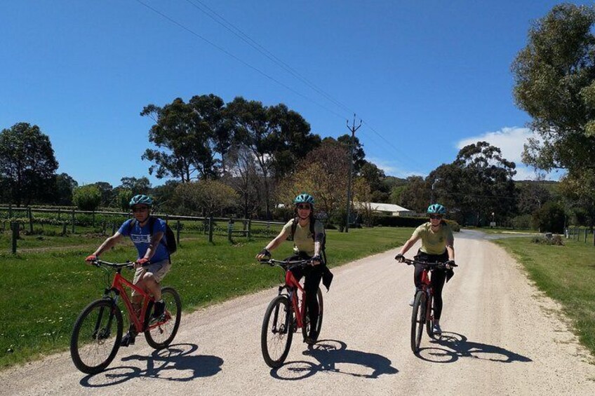 McLaren Vale Wine Tour by Bike