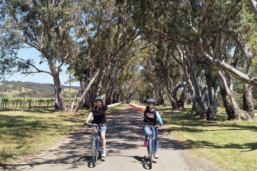 McLaren Vale Wine Tour by Bike