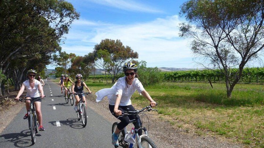 McLaren Vale Wine Tour by Bike