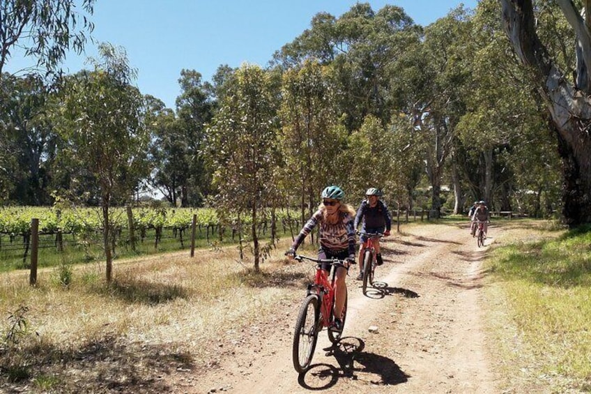 McLaren Vale Wine Tour by Bike