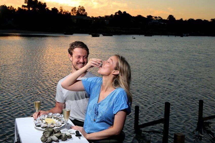 Oyster Farm & Tasting Tour