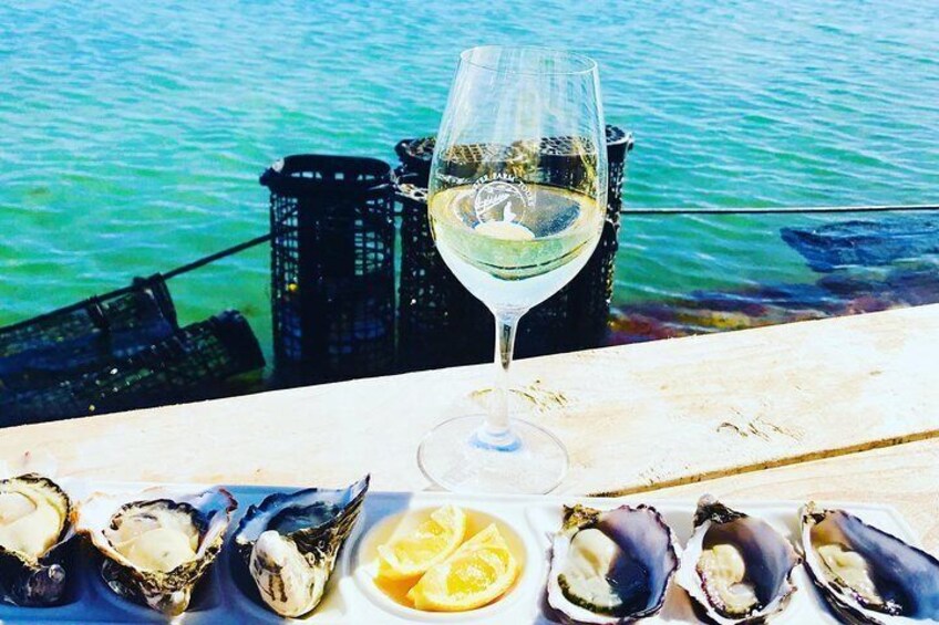 Oyster Farm and Tasting Tour with Hotel Pick-up and return from Port Lincoln