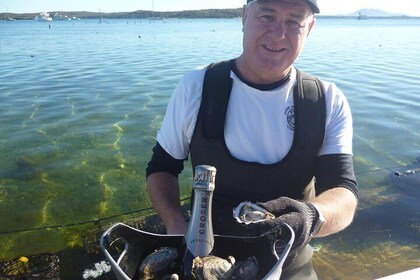 Oyster Farm and Tasting Tour with Hotel Pick-up and return from Port Lincol...