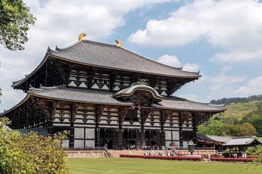 Nara Like a Local: Customized Private Tour